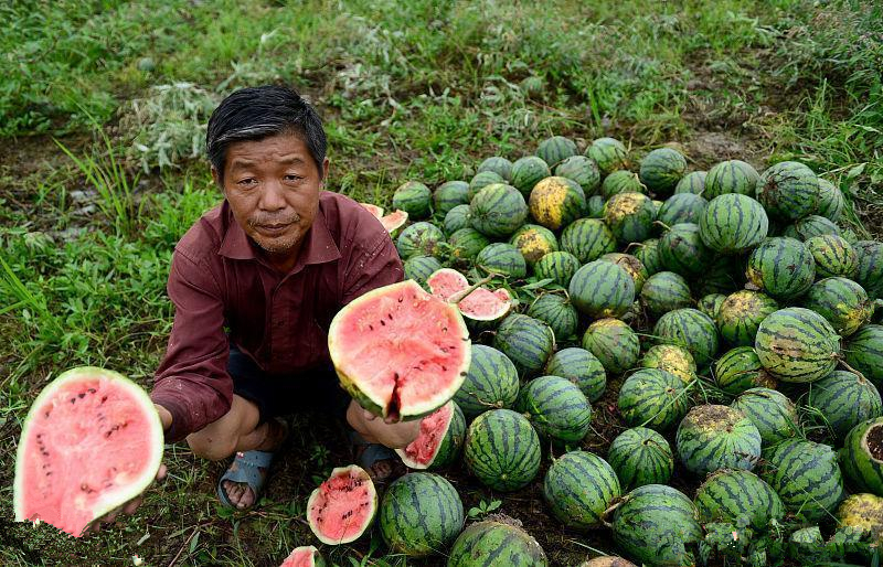 热点生活 第41页