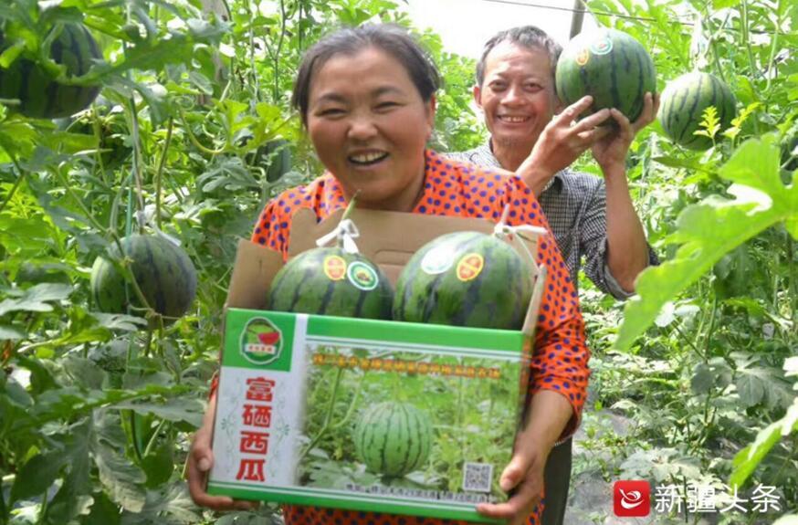 地方新闻 第22页